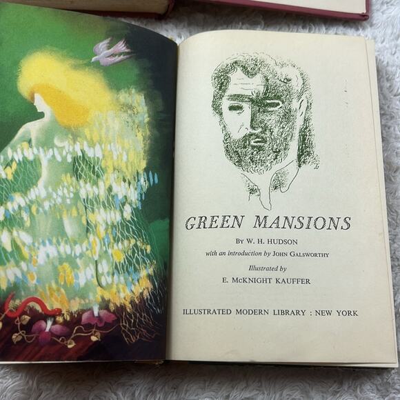 Book Bundle - 4 Novels 1940s Green Mansions, Boston Adventure HC Fair-Good - Picture 6 of 14